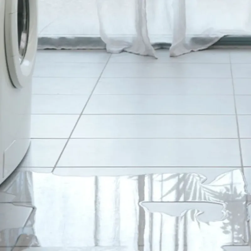 Appliance Leak Cleanup in Chico, WA